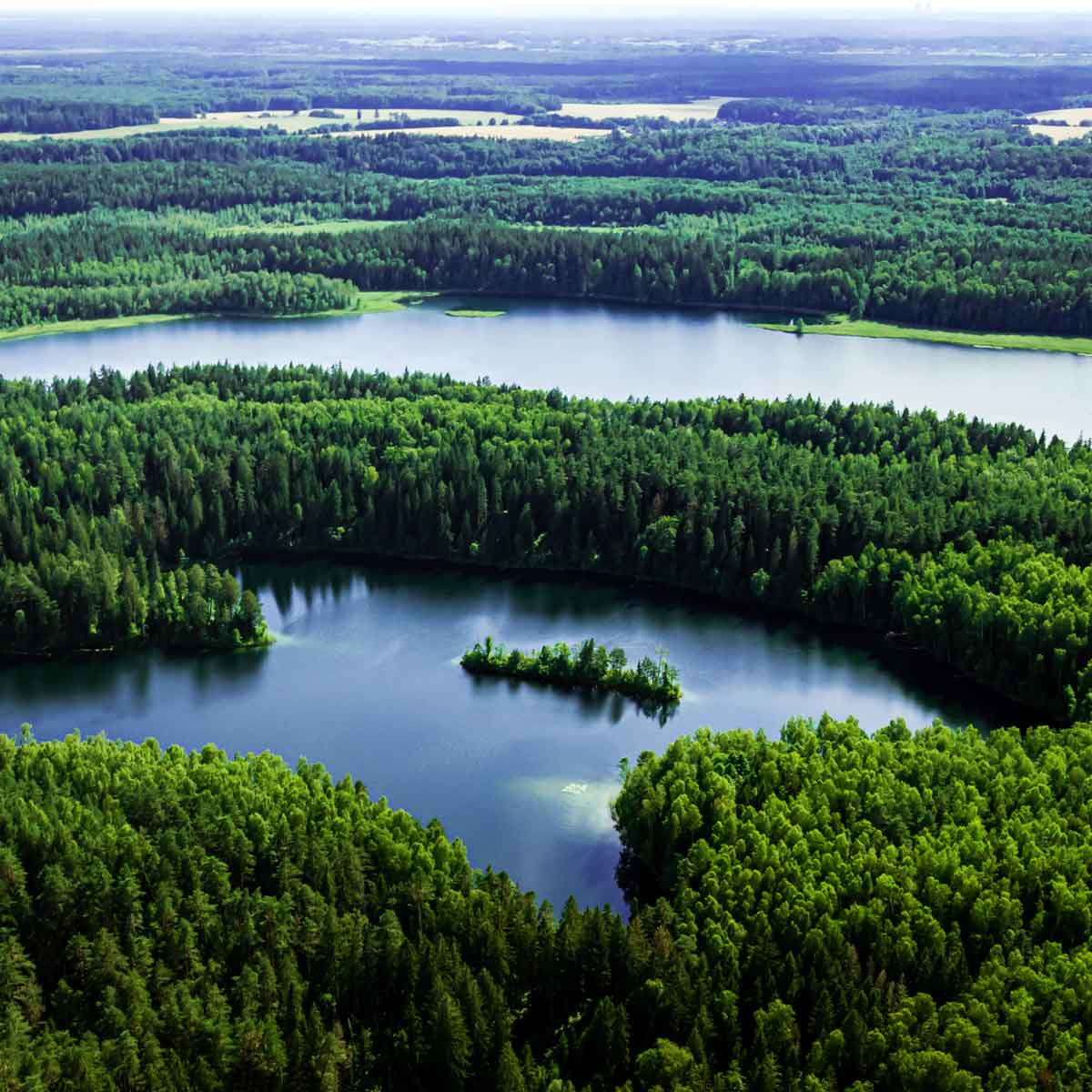 Natural Wetlands Arial photo